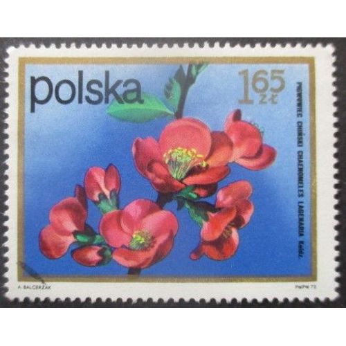 Pologne N°2061 Fleurs Oblitéré