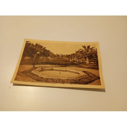 Maroc Casablanca : Parc Lyautey - Une Allée (N°93 La Cigogne)