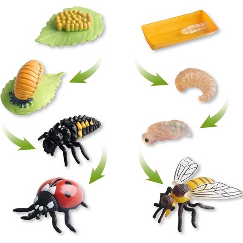 Lot De 8 Figurines D'insectes - Cycle De Vie - Abeille Et Coccinelle - Kit Montessori - Jouet Éducatif - Pour Enfants De 3, 4, 5, 6, 7, 8 Ans (A)