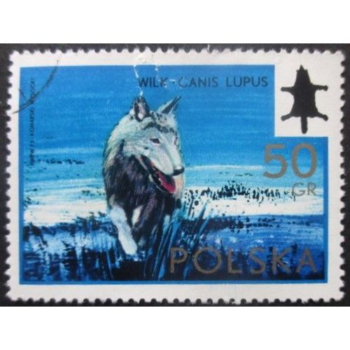 Pologne N°2091 Loup Oblitéré