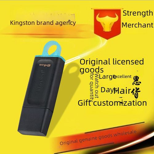 Kingston USB USB USB USB veritable voiture authentique, couleur: cle USB solide (double interface), capacite: 512 go, vente en gros