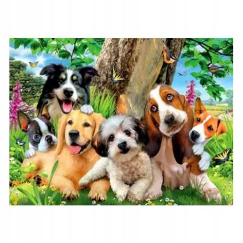 5d Diamant Broderie Cheval Chien Chat Perroquet Oiseaux