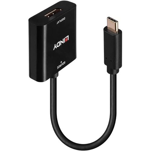 LINDY Convertisseur USB Type C vers DisplayPort 4K144