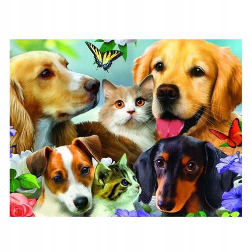 5d Diamant Broderie Cheval Chien Chat Perroquet Oiseaux