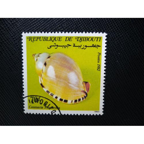 Timbre Djibouti Yt 561 Bonnet Lourd (Casmaria Ponderosa) 1982 ( 051208 )