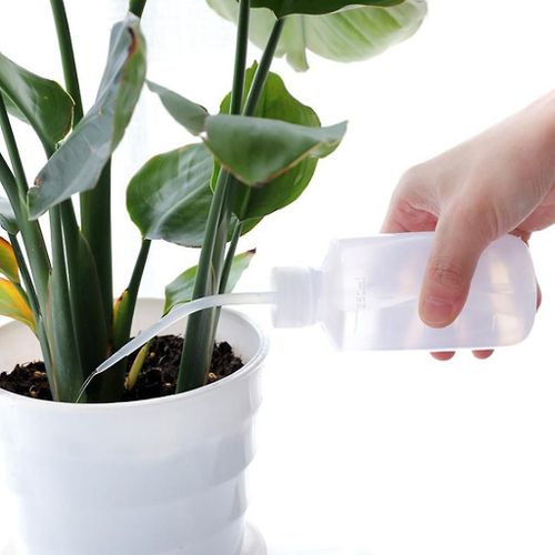 500ml Bouteille Diffuseur Savon Vert Lavage Approvisionnement En Plastique 
