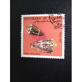 Timbre Djibouti Yt 611 Coquillages, Cône Du Vice-Amiral (Conus Acuminatus) 1985 ( 051208 )