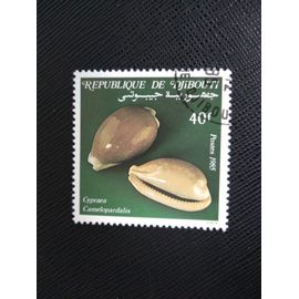 Timbre Djibouti Yt 612 Coquillages, Cauris De Chameau (Cypraea Camelopardalis) 1985 ( 051208 )