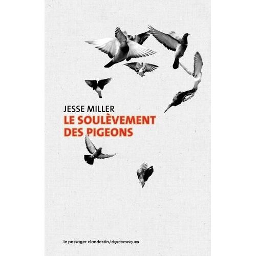 Le Soulèvement Des Pigeons