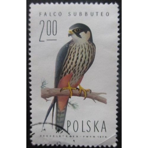 Pologne N°2195 Faucon Oblitéré