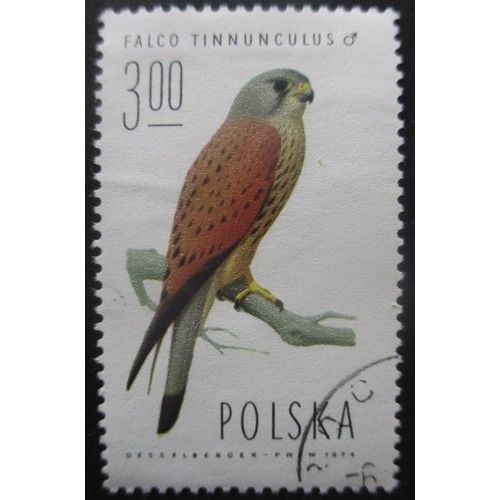Pologne N°2196 Faucon Oblitéré
