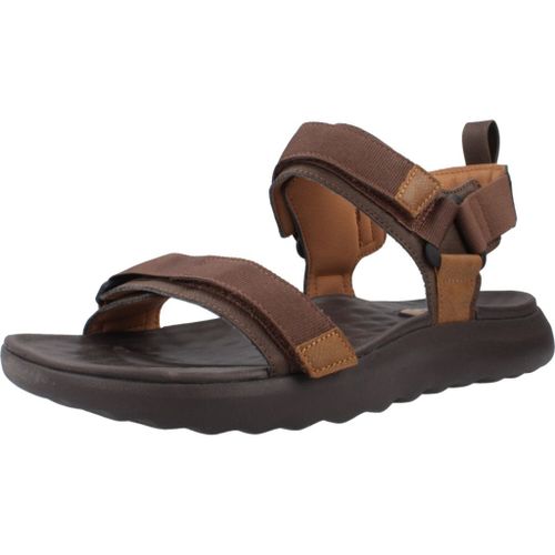 Hey Dude Collins Colour Marron
