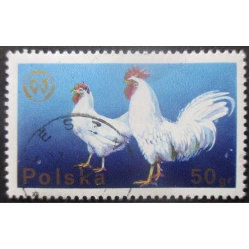 Pologne N°2217 Poules Oblitéré