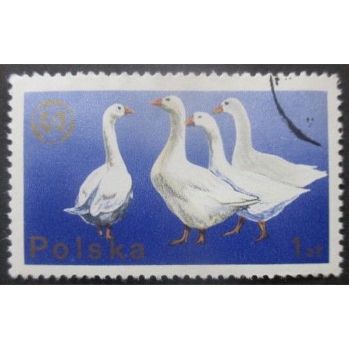 Pologne N°2218 Oies Oblitéré