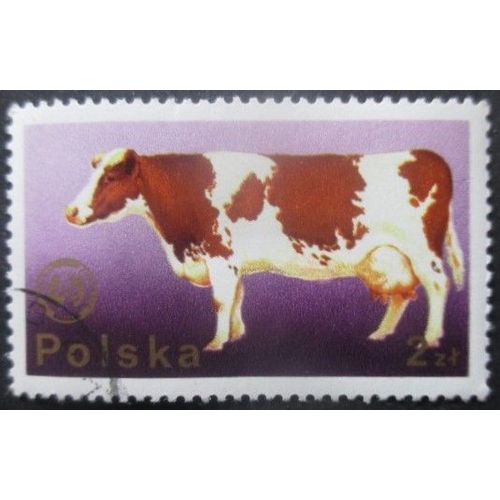 Pologne N°2220 Vache Oblitéré