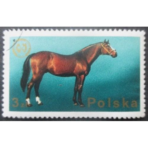 Pologne N°2221 Cheval Oblitéré