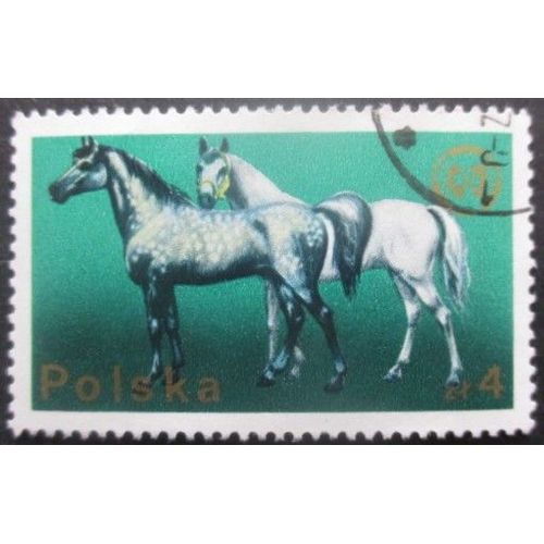 Pologne N°2222 Chevaux Oblitéré