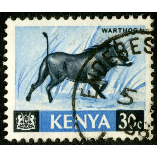 Timbre Oblitéré Kenya, Warthog, 30 C