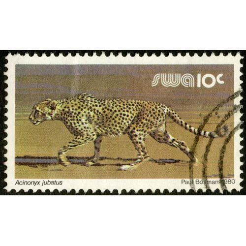 Timbre Oblitéré Swa 10c, Acinonyx Jubatus, 1980, Paul Bosman