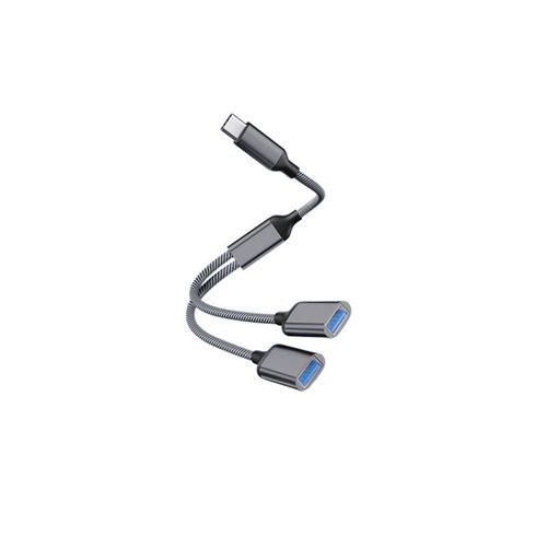 Adaptateur Type-C vers double USB 2.0 Gris