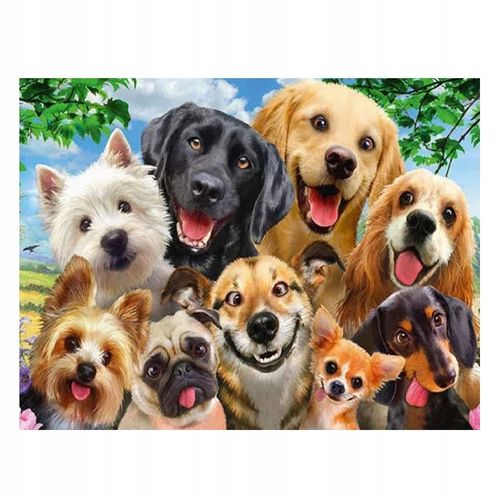 5d Diamant Broderie Cheval Chien Chat Perroquet Oiseaux