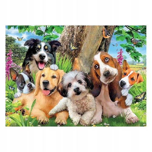 5d Diamant Broderie Cheval Chien Chat Perroquet Oiseaux