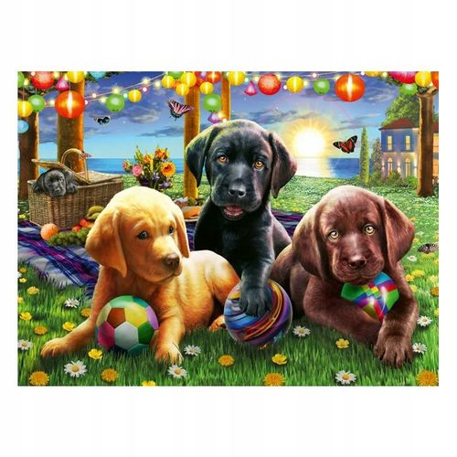 5d Diamant Broderie Cheval Chien Chat Perroquet Oiseaux
