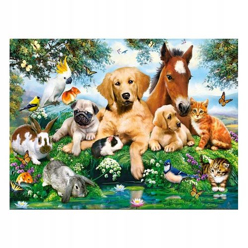 5d Diamant Broderie Cheval Chien Chat Perroquet Oiseaux