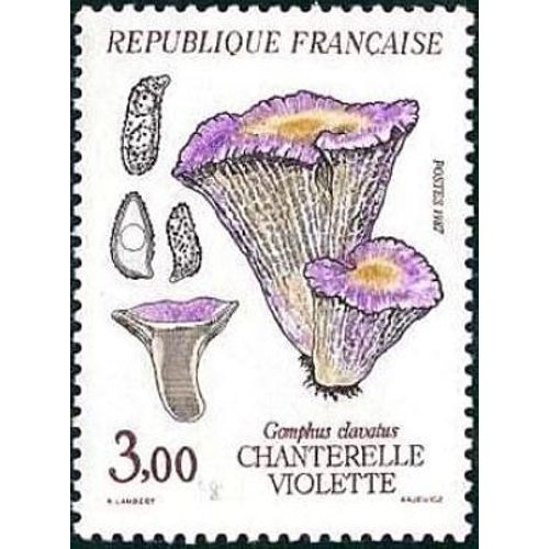 Timbre Oblitéré - Champignons - Chanterelle Violette (Gomphus Clavatus) - N° 2489