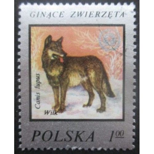 Pologne N°2334 Loup Oblitéré