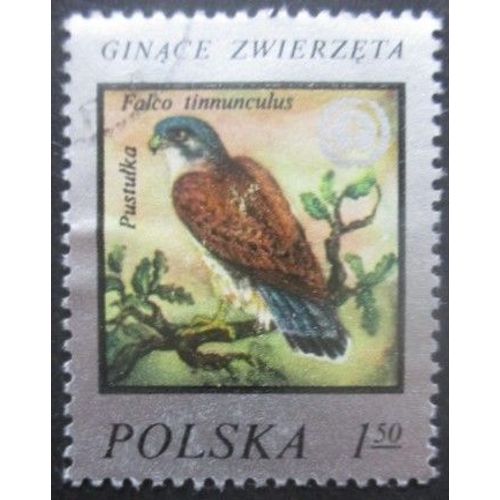 Pologne N°2335 Faucon Oblitéré