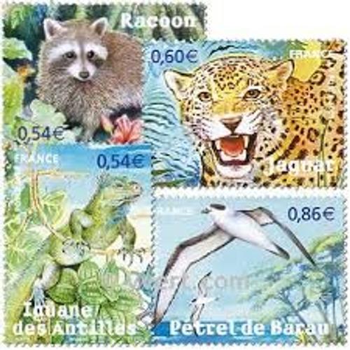 Série Nature (22) : Faune En Voie De Disparition Dans Les Départements D'outre-Mer : Iguane, Raccon, Jaguar, Pétrel Série Complète Année 2007 Yvert Et Tellier Luxe