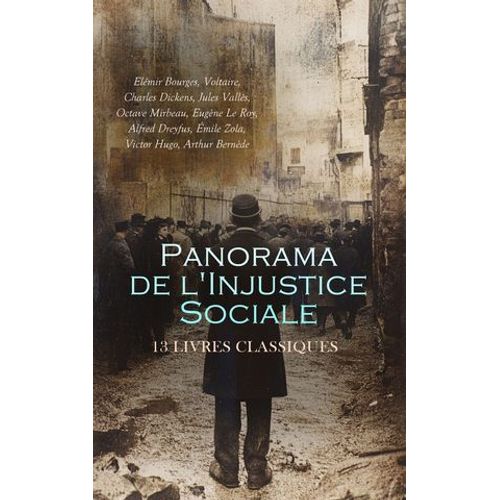 Panorama De L'injustice Sociale : 13 Livres Classiques