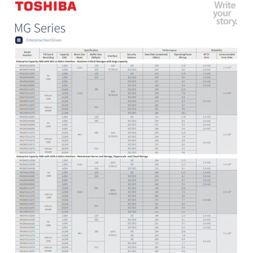 Toshiba MG10F Series MG10AFA22TE 22To Disque dur interne