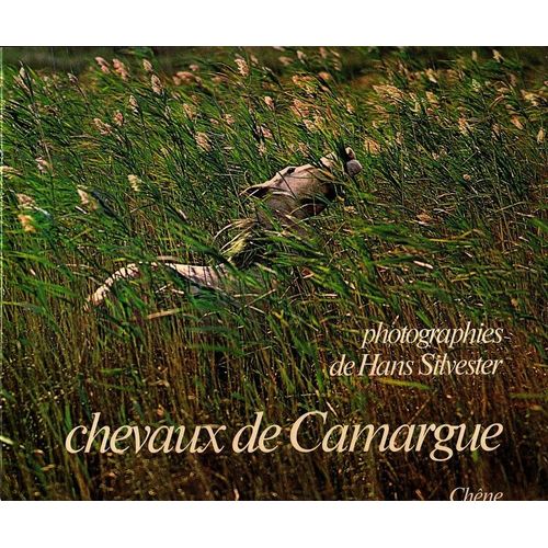 Chevaux De Camargue