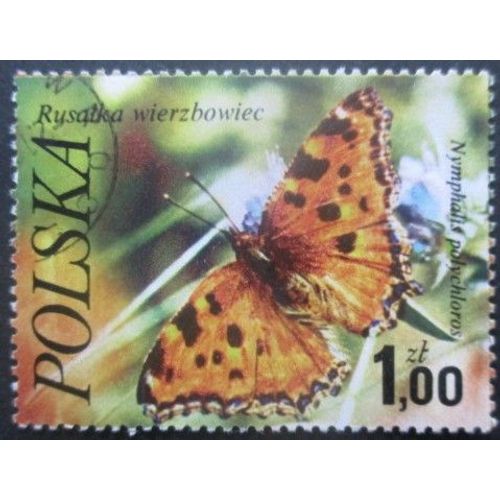 Pologne N°2346 Papillon Oblitéré