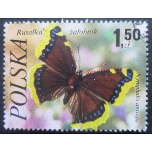 Pologne N°2348 Papillon Oblitéré
