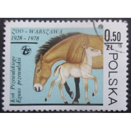 Pologne N°2414 Cheval Oblitéré
