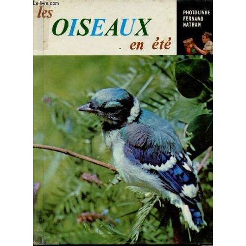 Les Oiseaux En Été - Collection A La Découverte De La Vie.