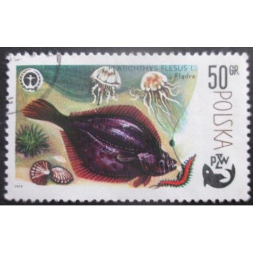 Pologne N°2440 Limande Oblitéré