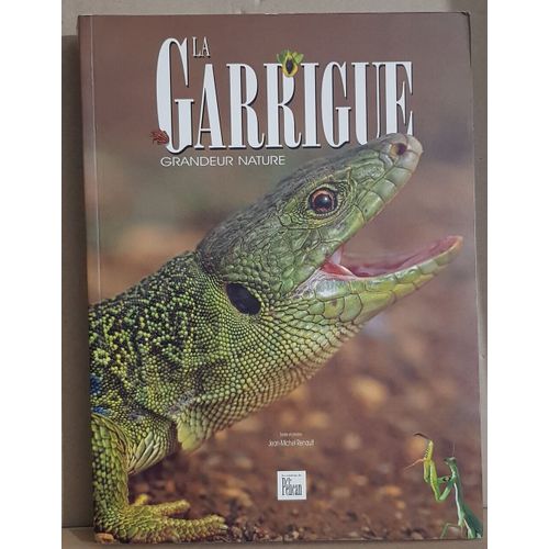 La Garrigue Grandeur Nature