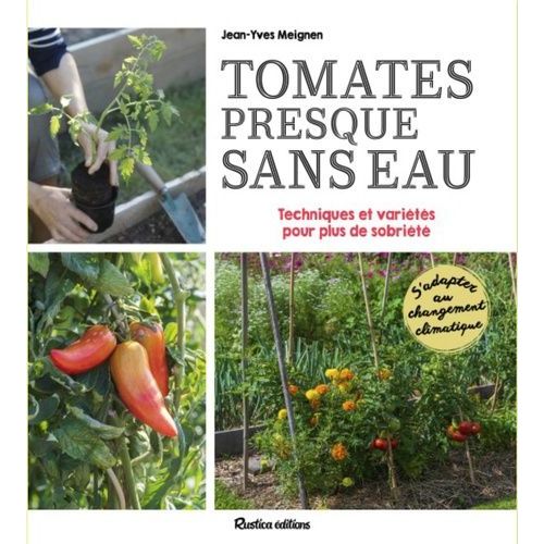 Tomates Presque Sans Eau - Conseils, Astuces Et Variétés Pour Plus De Sobriété