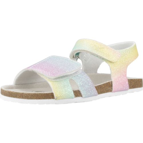 Chicco Findy Colour Multicolore