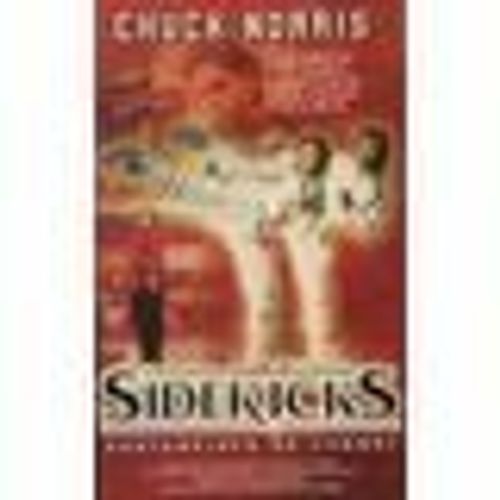 Sidekicks, Partenaires De Combat