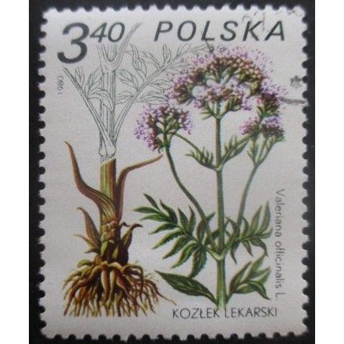 Pologne N°2525 Plante Médicinale Oblitéré