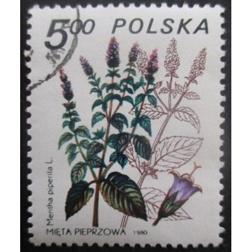 Pologne N°2526 Plante Médicinale Oblitéré
