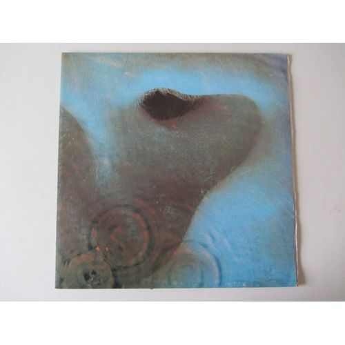 Meddle
