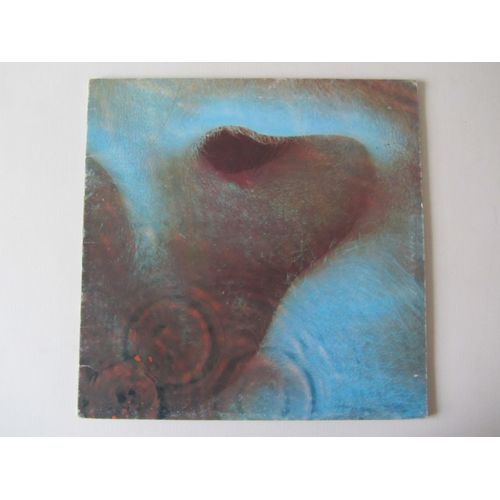 Meddle (Pressage Italie)