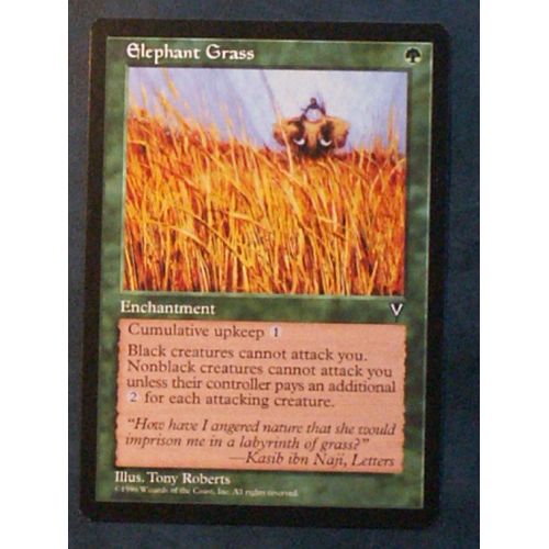 Elephant Grass - Visions - Vo