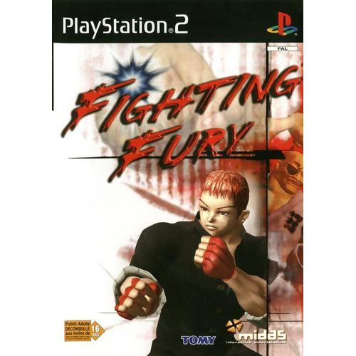 Fighting Fury Ps2